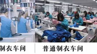 服裝行業哀鴻遍野，這家中國企業卻火遍全球