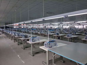 時尚與個性 衣著的多元表達